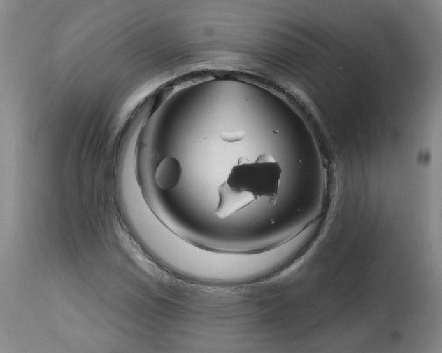 X0000112461114200908241252