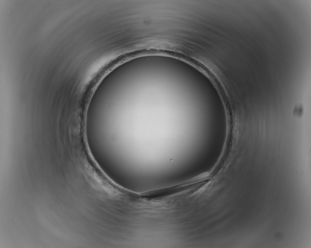 X0000112461115200908241252