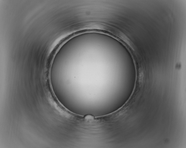 X0000112461116200908241252