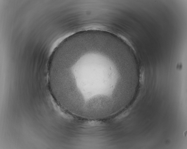 X0000112461117200908241252