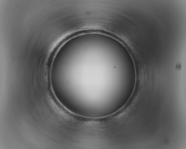 X0000112461118200908241252