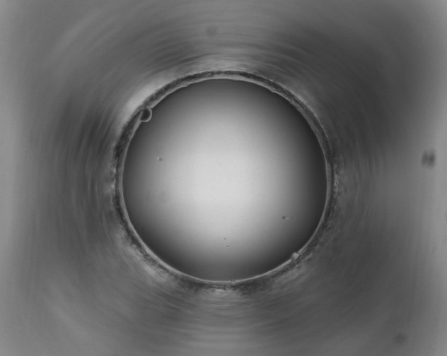 X0000112461119200908241252