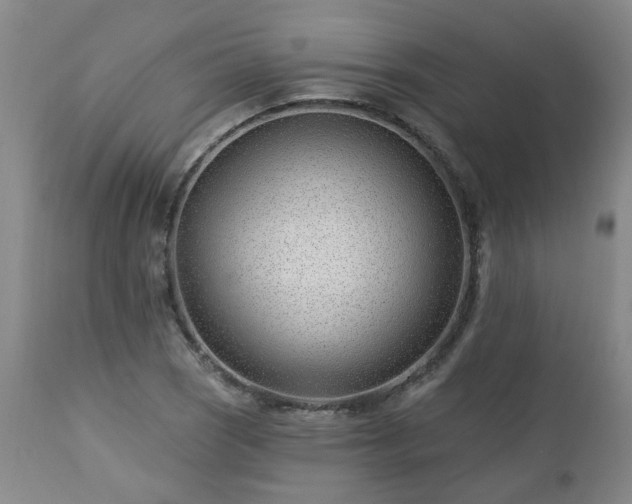 X0000112461121200908241252