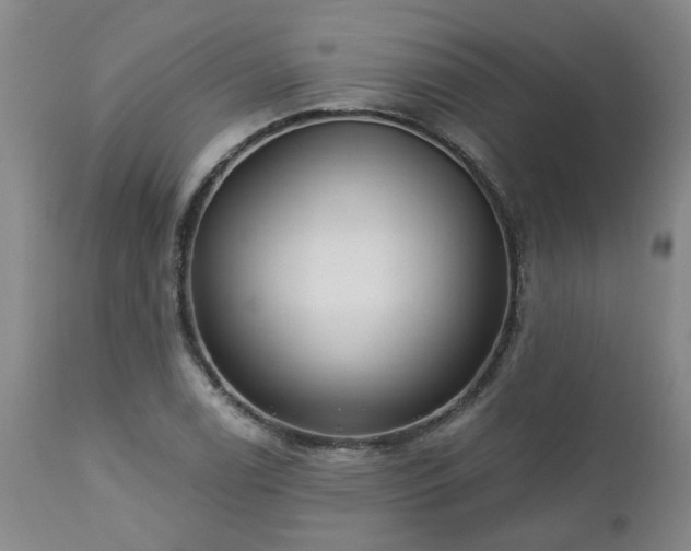 X0000112461122200908241252