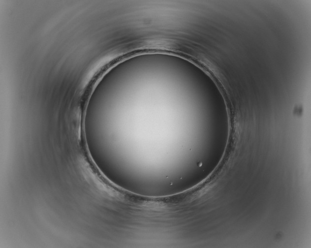 X0000112461123200908241252