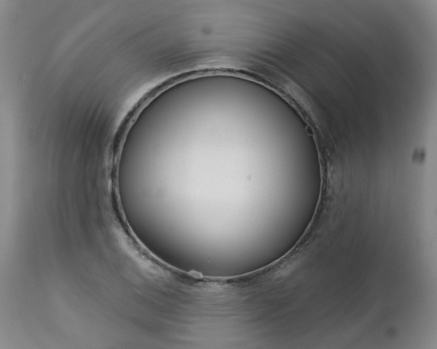 X0000112461124200908241252