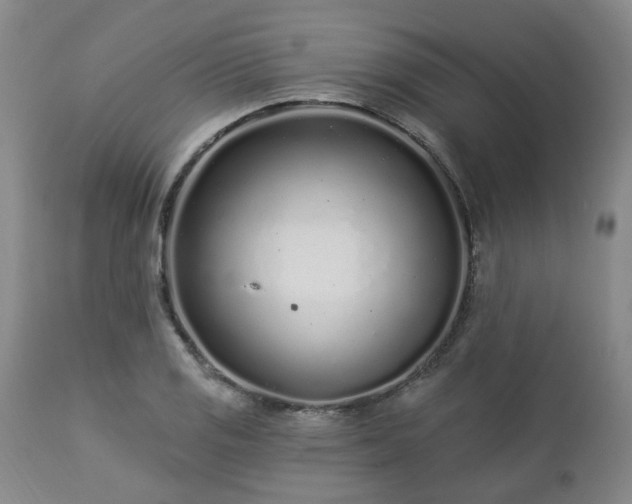 X0000112461125200908241252