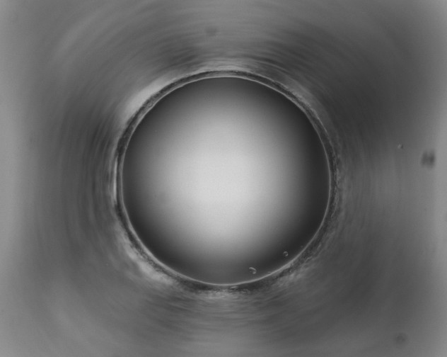 X0000112461127200908241252