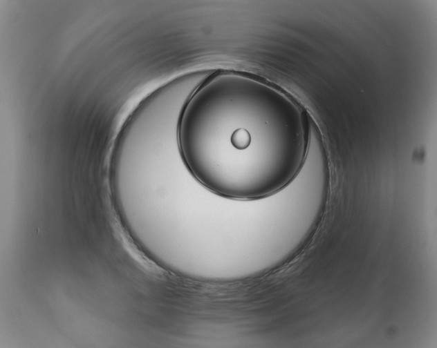 X0000112461128200908241252