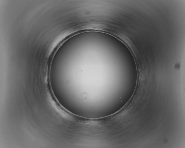 X0000112461131200908241252