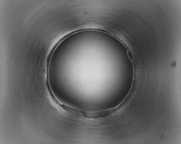 X0000112461132200908241252