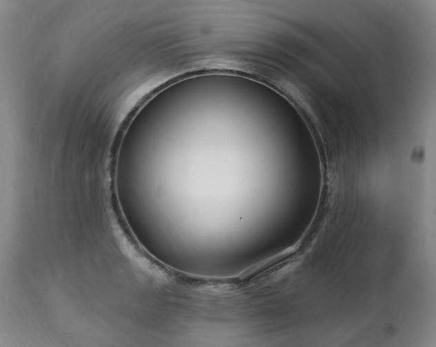 X0000112461133200908241252