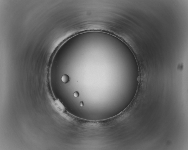 X0000112461134200908241252