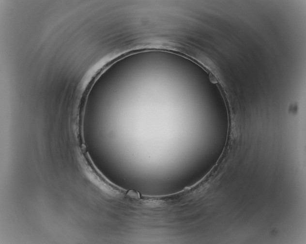 X0000112461136200908241252