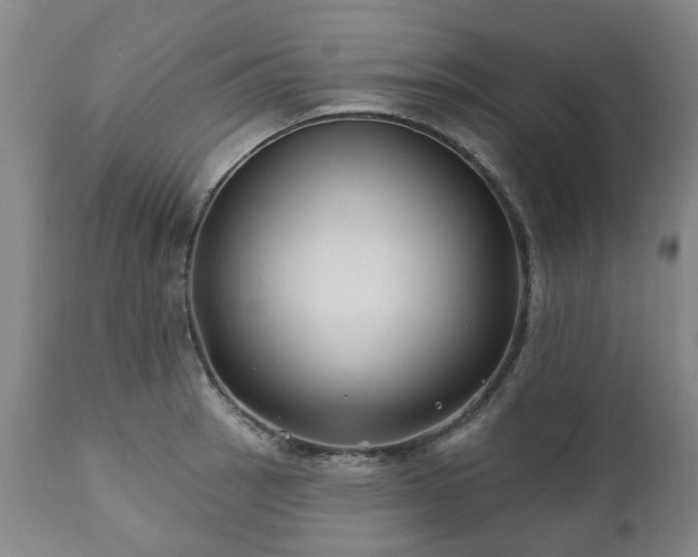 X0000112461137200908241252