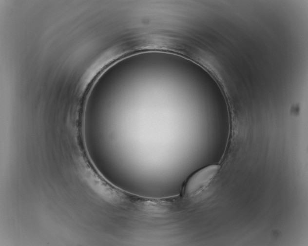 X0000112461138200908241252