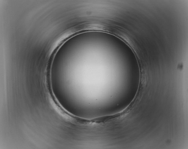 X0000112461139200908241252