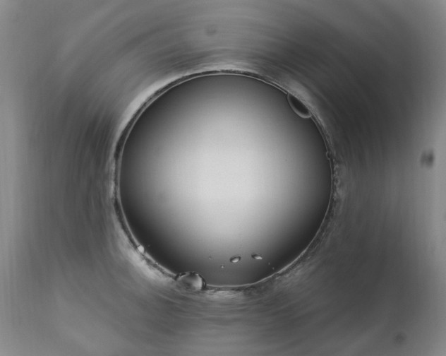 X0000112461140200908241252