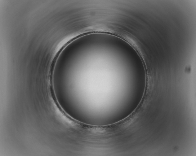 X0000112461141200908241252