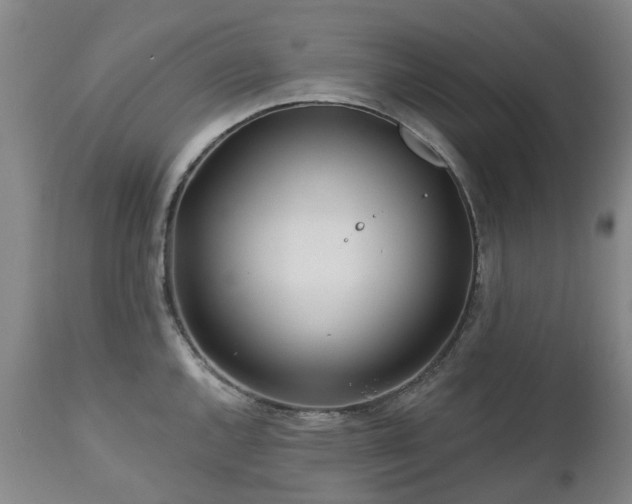 X0000112461144200908241252