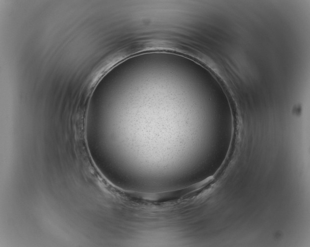 X0000112461145200908241252