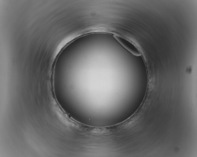 X0000112461146200908241252