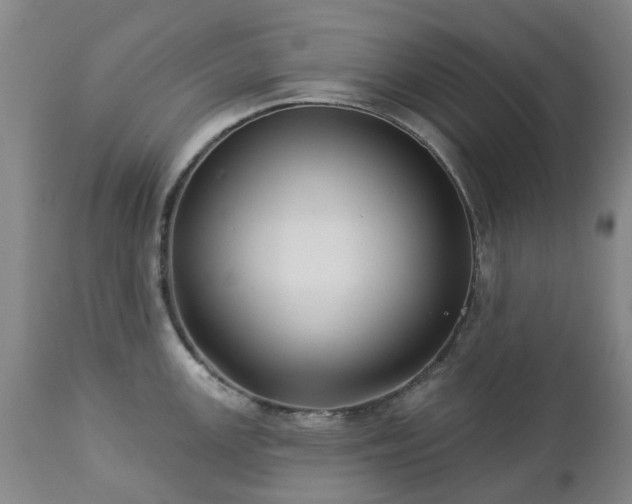 X0000112461147200908241252