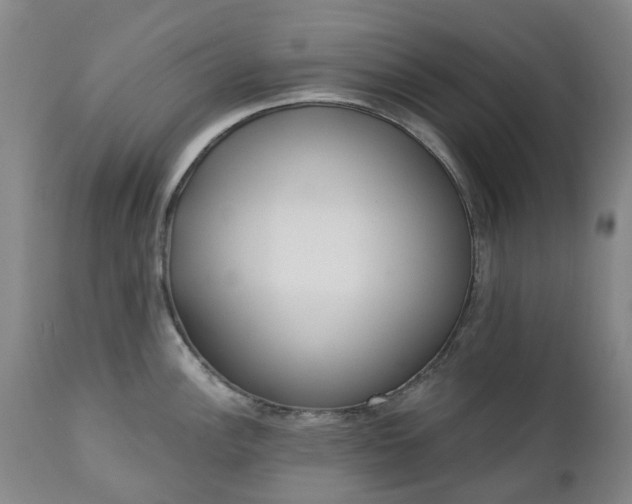 X0000112461148200908241252