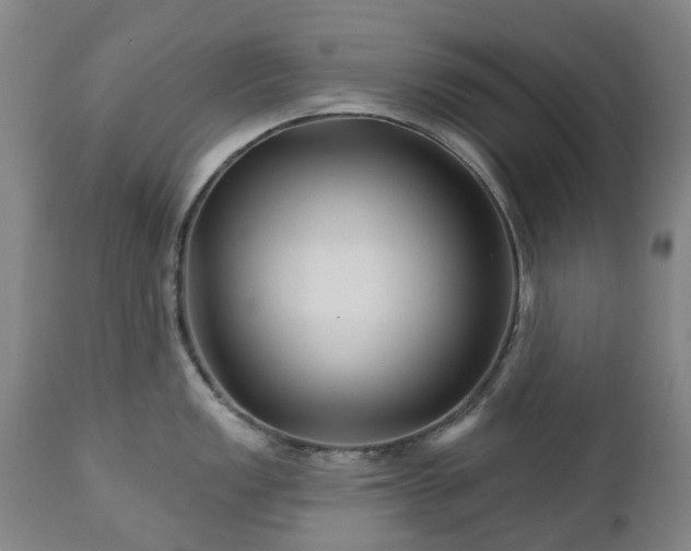 X0000112461149200908241252