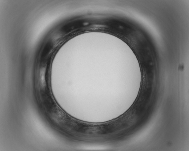 X0000112461150200908241252