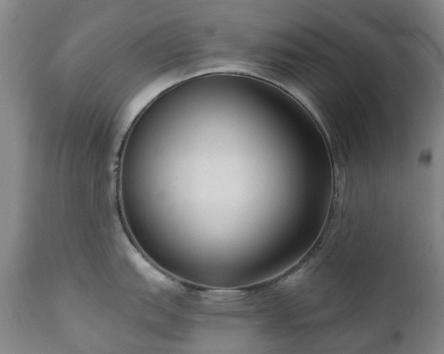 X0000112461151200908241252