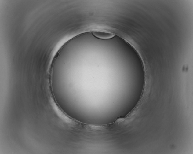 X0000112461152200908241252