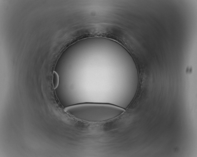 X0000112461153200908241251