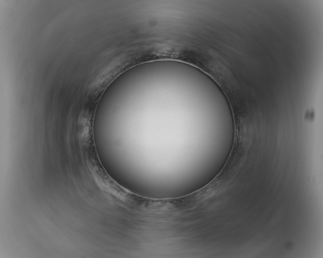 X0000112461154200908241251