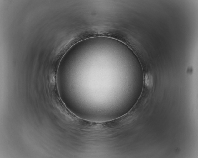 X0000112461155200908241251