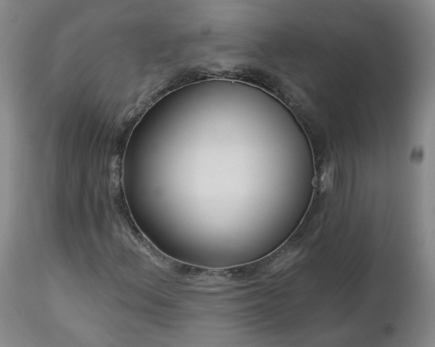 X0000112461156200908241251