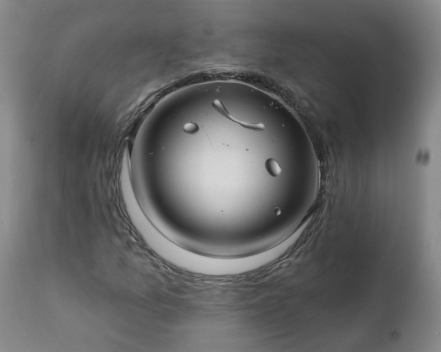 X0000112461157200908241251