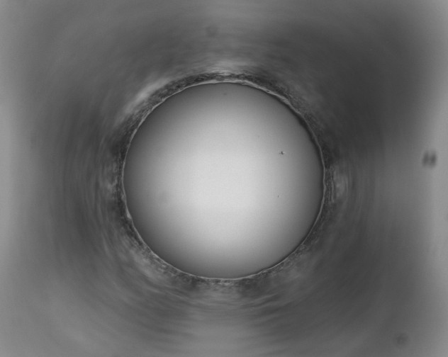 X0000112461158200908241251