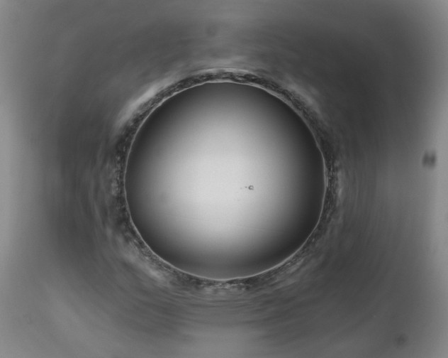 X0000112461159200908241251