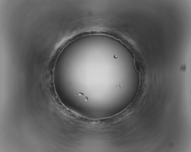 X0000112461160200908241251