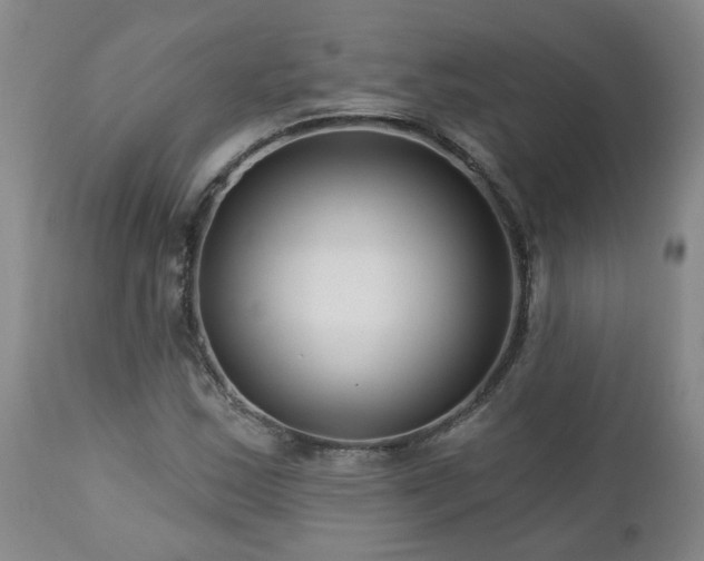 X0000112461163200908241251