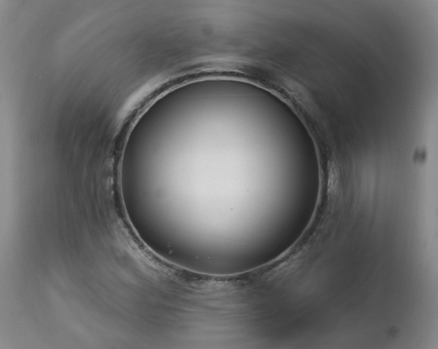 X0000112461164200908241251