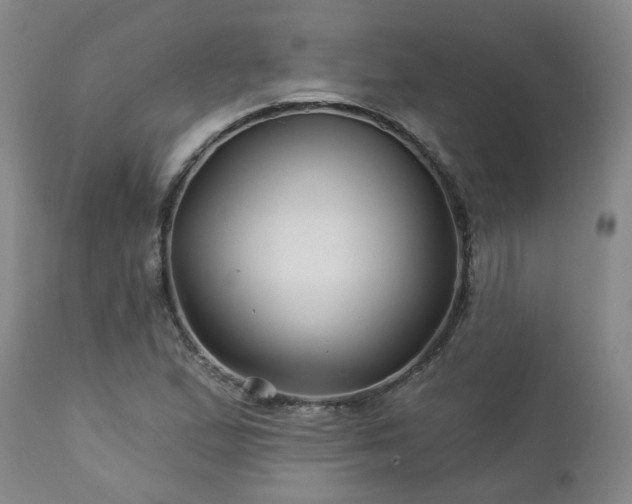 X0000112461167200908241251