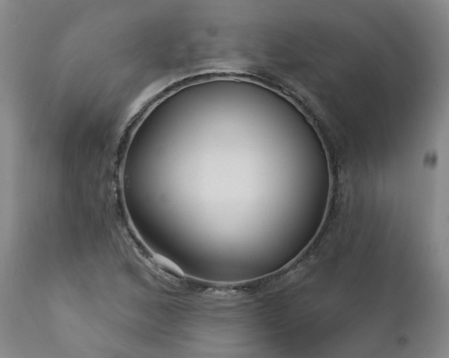 X0000112461168200908241251