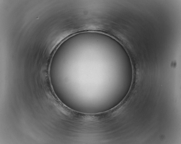 X0000112461170200908241251