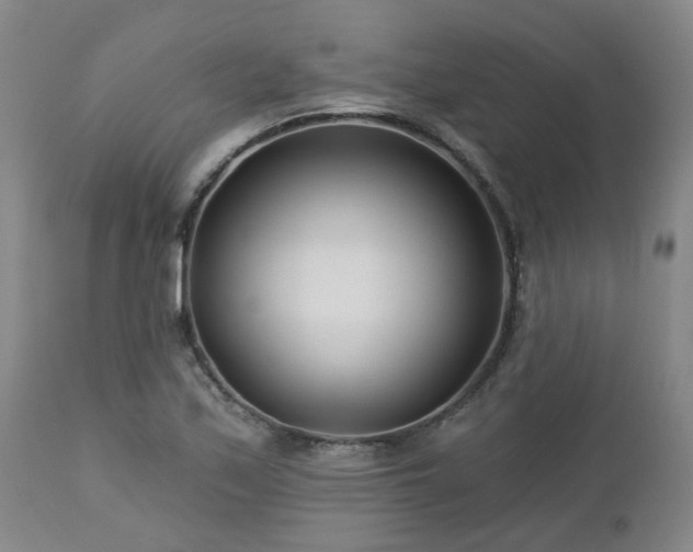 X0000112461171200908241251