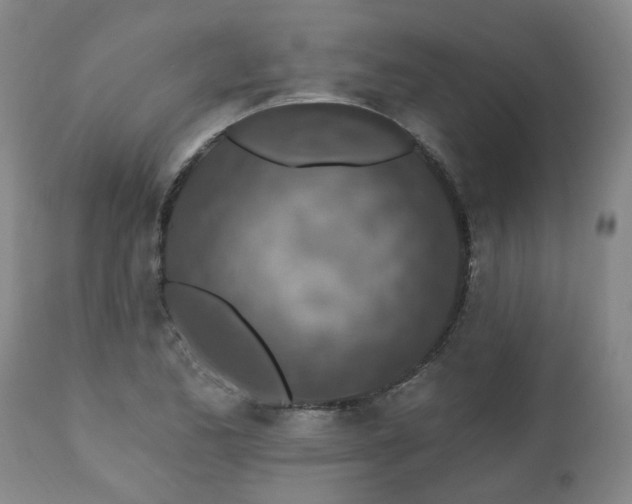 X0000112461173200908241251