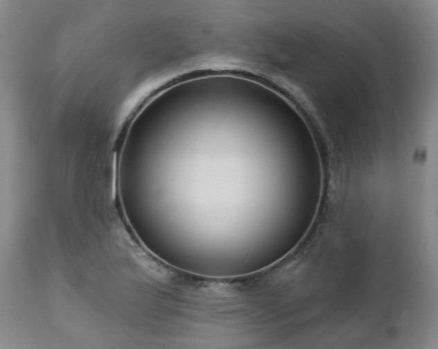 X0000112461175200908241251