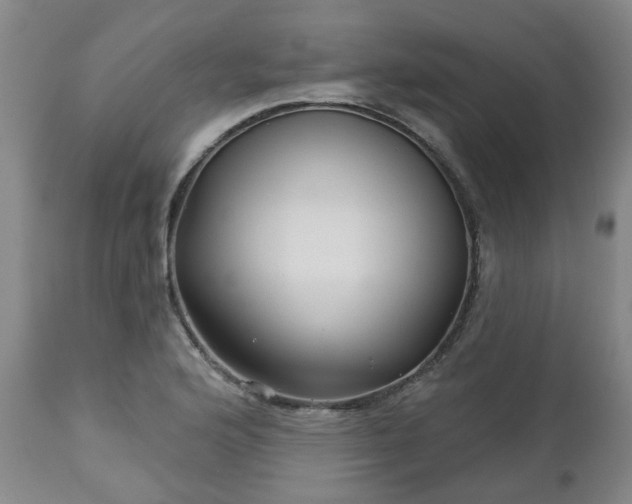 X0000112461176200908241251