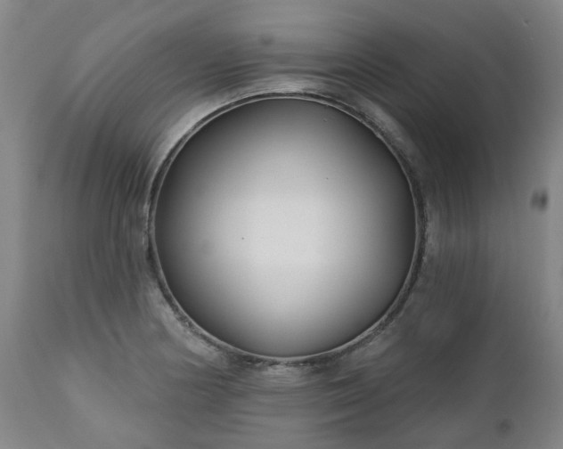 X0000112461178200908241251